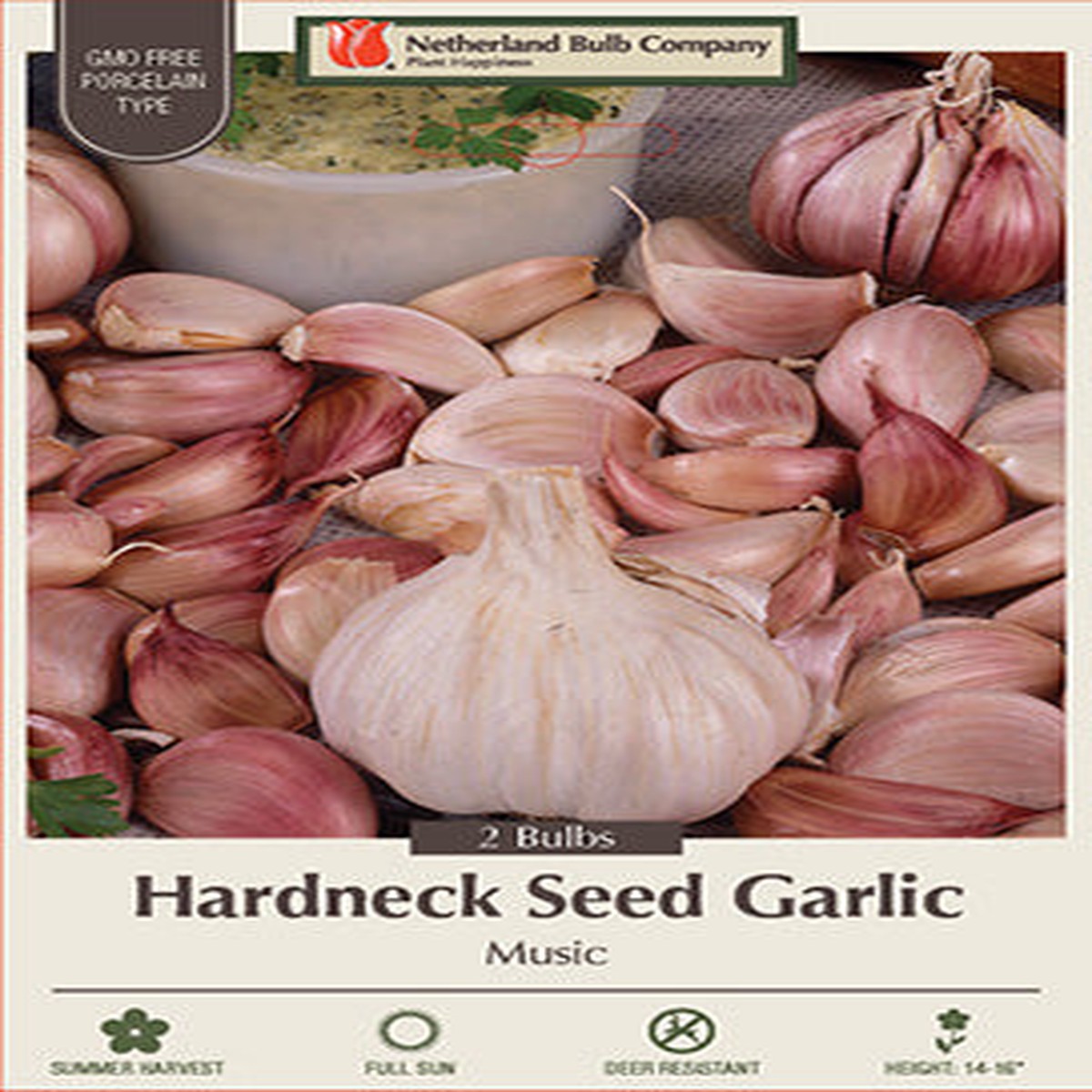 Seed Garlic Music 2 Count